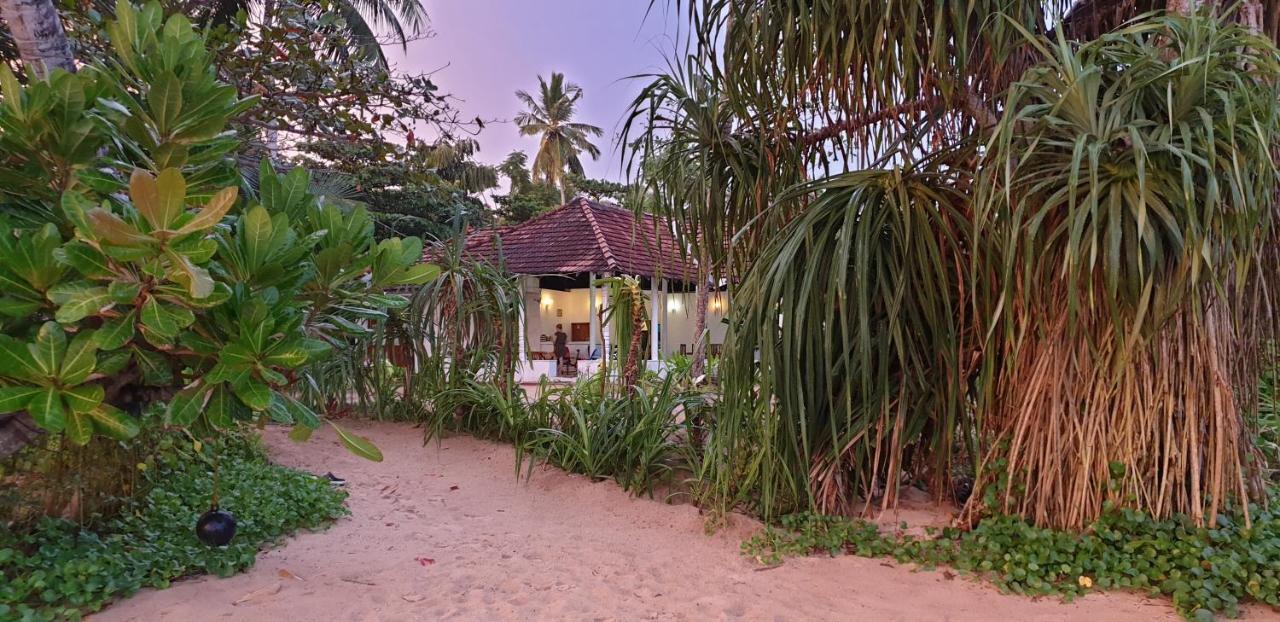 Talalla Beach Bungalows Exteriör bild